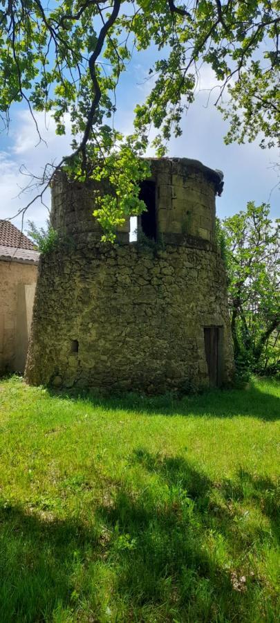 Moulin De Bigorre Villa Saint-Genès-de-Castillon Exteriör bild