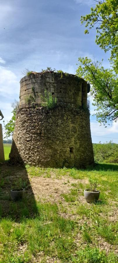 Moulin De Bigorre Villa Saint-Genès-de-Castillon Exteriör bild